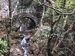 -东天目山风景区