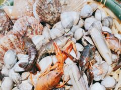 -渔家风味·鲅鱼水饺·央视展播·海鲜天津菜(开发区店)