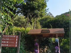 -广东天露山旅游度假区