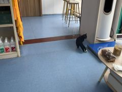 -博特宠物医院24h犬猫全科.骨科·异宠