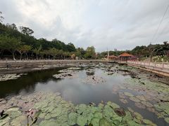-广州莲花山旅游区