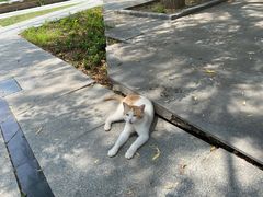 -中关村生命科学园