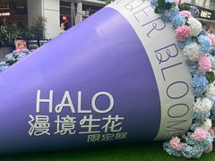 -HALO广场(梨园路店)