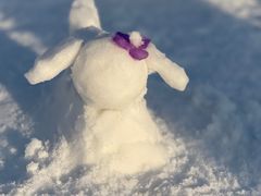 -绿野森林乐园冰雪季