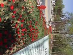 -廊坊文化艺术中心