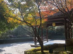 -解香楼(八盘岭路店)