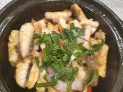 -朱记乳鸽王·非遗石岐乳鸽·全鸽宴(大兴旗舰店)