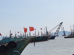 -中国舟山国际水产城