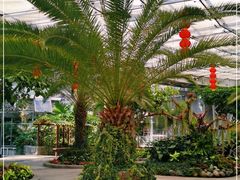 -北京植物园-展览温室