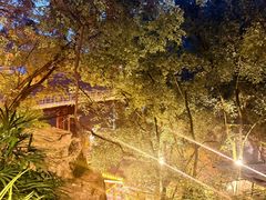 -巴倒烫陆派火锅山庄(南山总店)