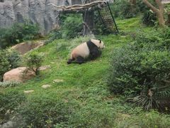 -石排湾郊野公园