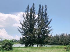 -白沙门生态公园