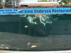 -瑞德姆美人鱼海底演艺主题餐厅(亚龙湾店)