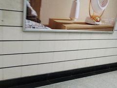 -上海科技馆(地铁站)
