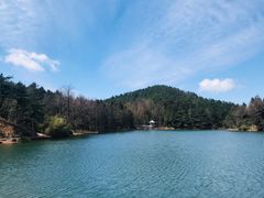 -四明山国家森林公园