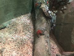 -沈阳海洋探索中心