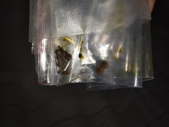 -上海市第一人民医院(松江南部)