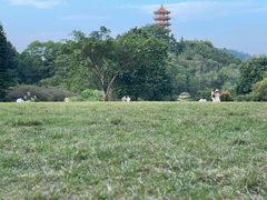 -深圳仙湖植物园