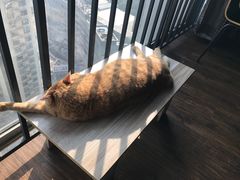 -盛天毛血旺非遗美食(观音桥店)