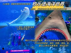 -贵安欢乐世界