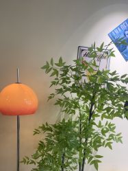 -变美丽半永久纹眉连锁·机器野生眉•洗眉