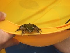 -安吉龙王山峡谷漂流