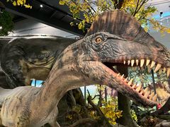 -湖南省地质博物馆