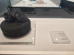 -BLACKSWAN黑天鹅(环球店)