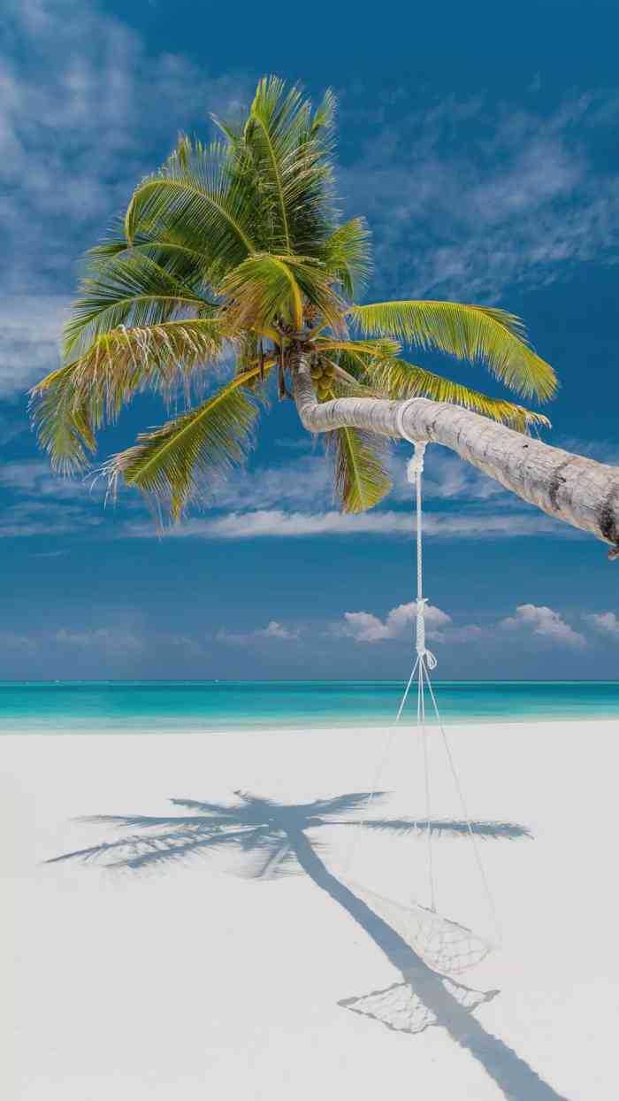 我们都市全部都是不是也许我的人家都会在一起了.