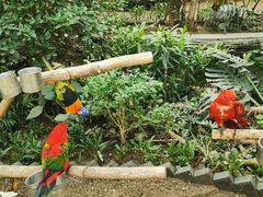 -南宫五洲植物乐园