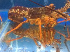 -同乐酒楼(皇后镇店)