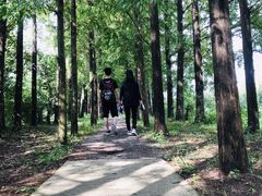 -上海长兴岛郊野公园