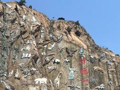 -西霞口神雕山野生动物世界