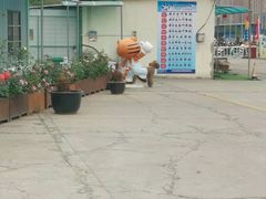 -金门驾校(中央门校区)