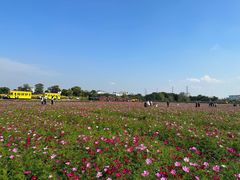 -径山花海