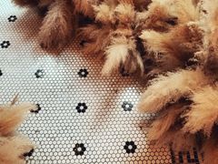 -Catail前苑(前门大街店)