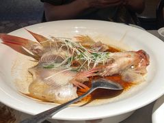 -顺鹅季·非遗烧鹅(六道口店)