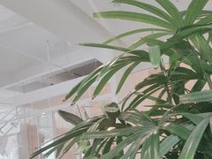 -开间茶馆·围炉煮茶