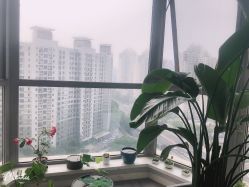 -一个差评成就的纹眉店
