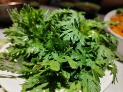 -一叶一世界•素食餐厅(环球中心店)
