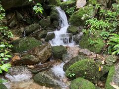 -炎陵县神农谷国家森林公园