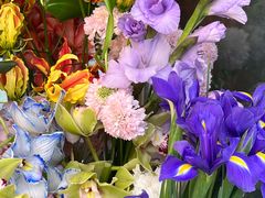 -紫荆广场·花漫里