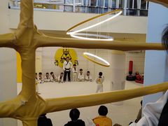 -勇气斑马·巴西柔术&跆拳道(浦东三林店)