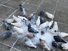 -92°C俄式厨房(中央大街店)