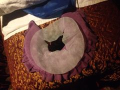 -莱仪堂艾灸经络养生馆(九亭一店)