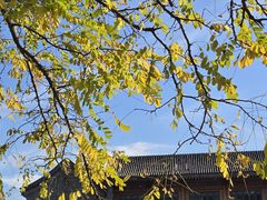 -北京凤凰岭