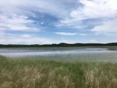 -塞罕坝国家级自然保护区