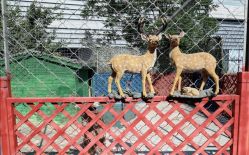 -萌宠亲子动物乐园(槐房万达店)