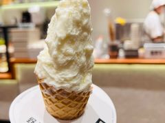 -野人先生现做冰淇淋(北京环宇荟店)