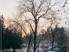 -元大都城垣遗址公园